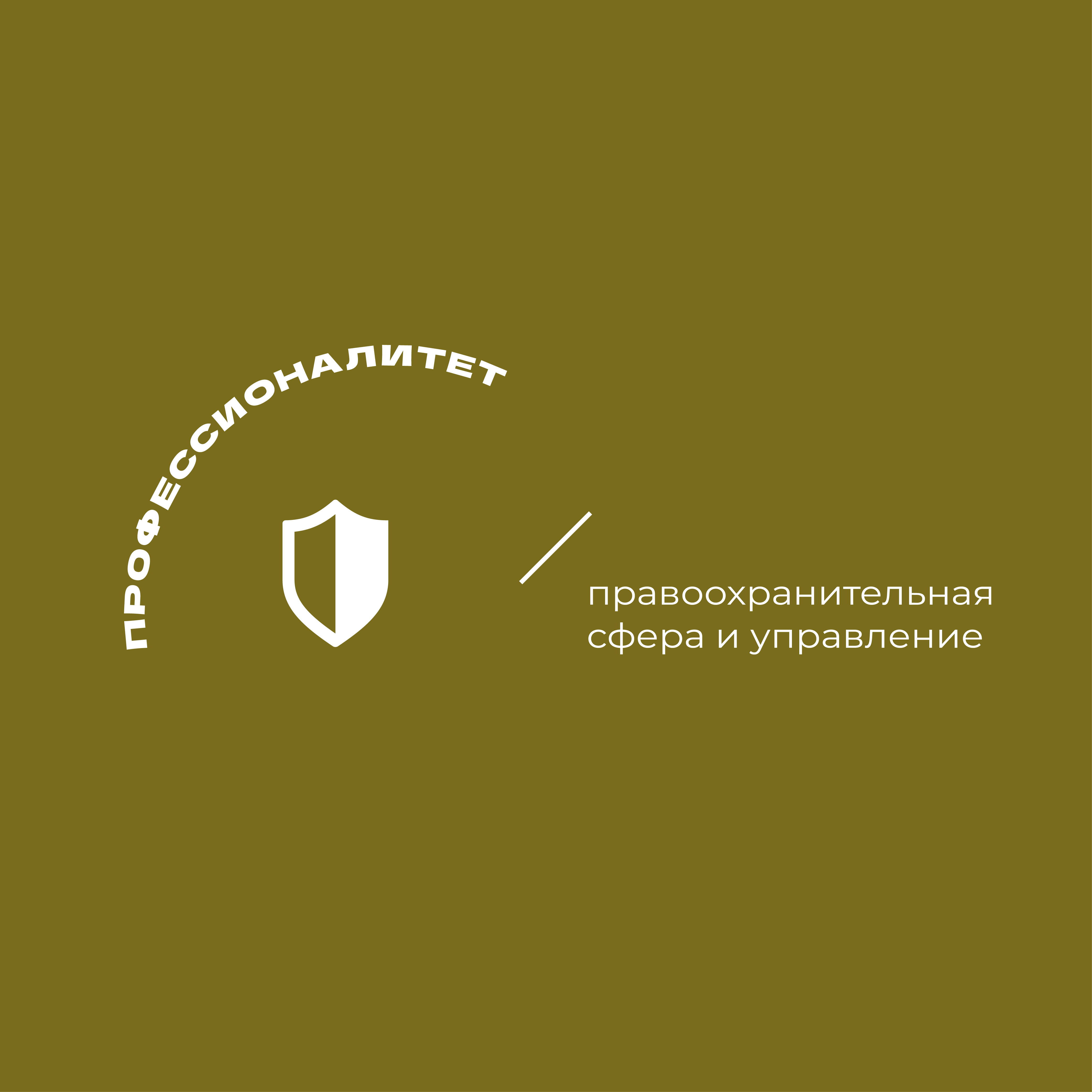 Правоохранительная сфера и управление