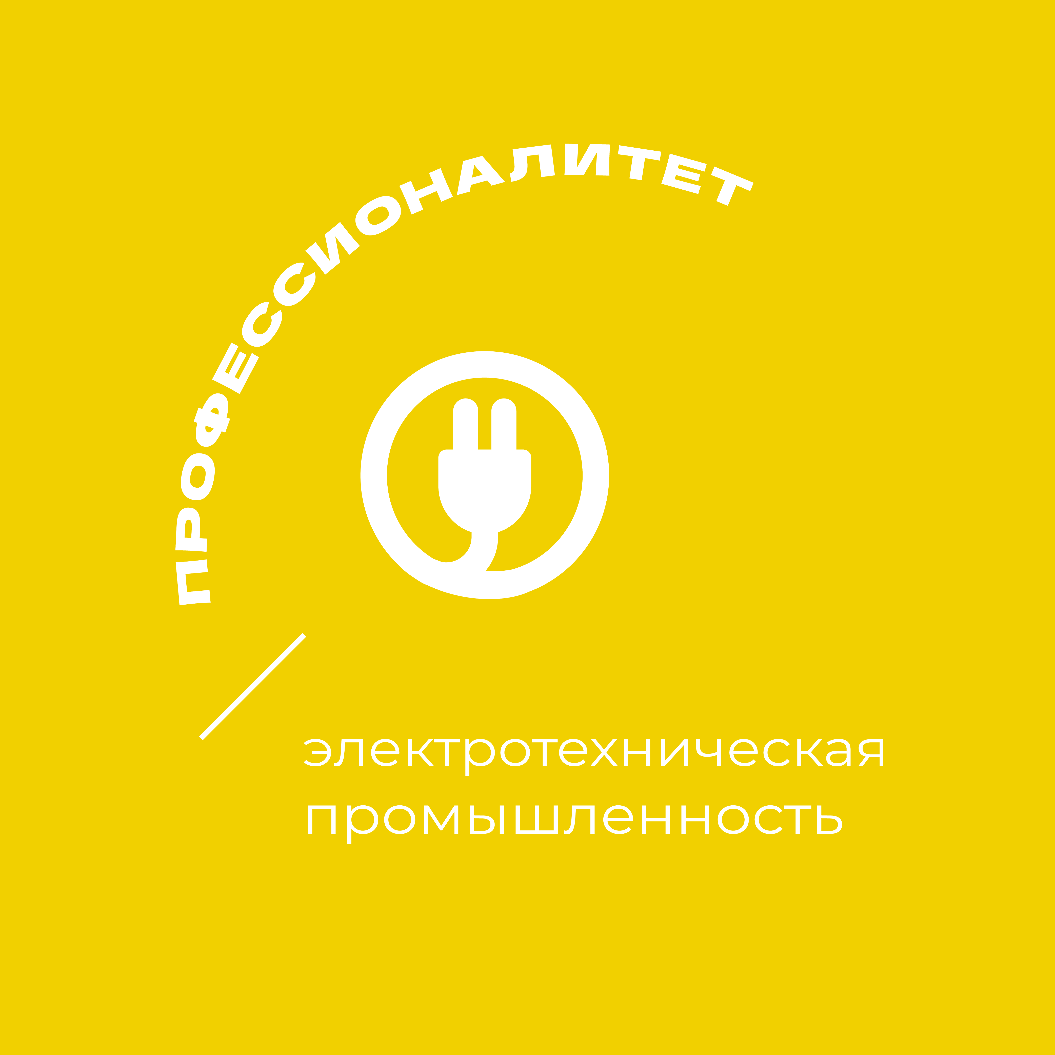 Электротехническая промышленность