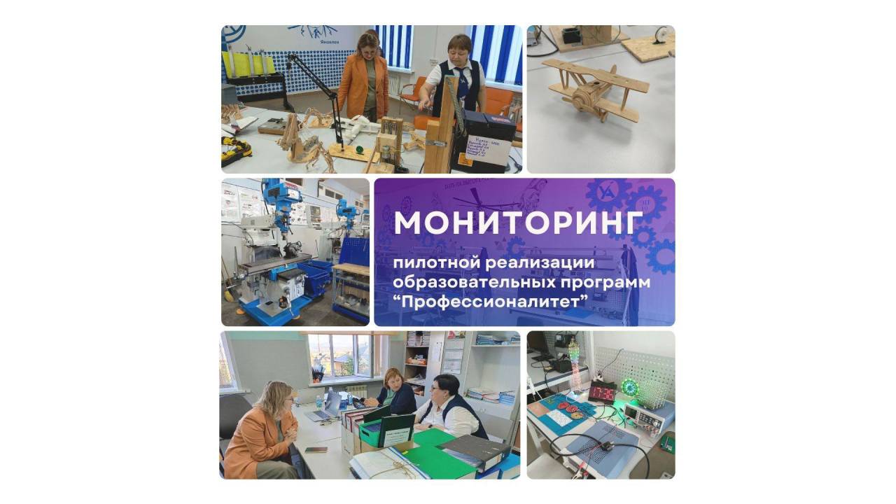 Мониторинг пилотной реализации образовательных программ "Профессионали...
