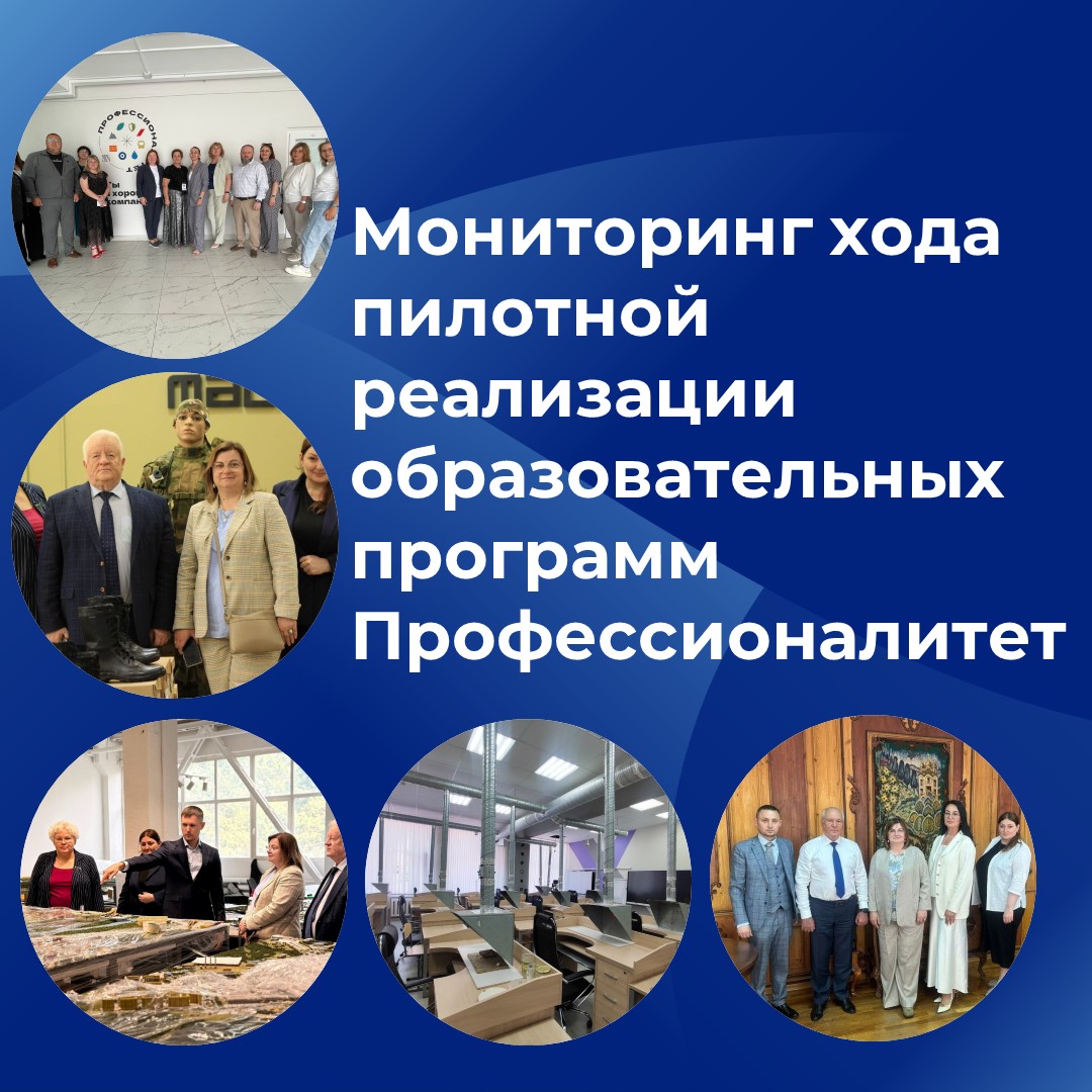 Мониторинг хода пилотной реализации образовательных программ «Професси...